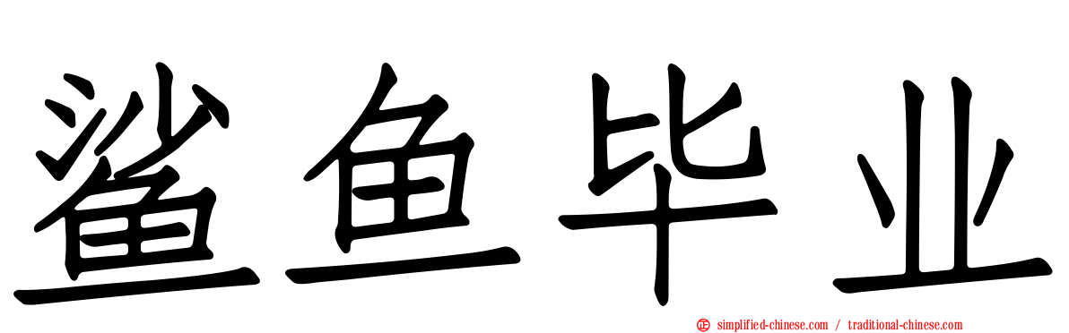 鲨鱼毕业