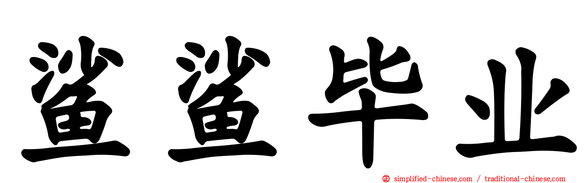 鲨鲨毕业