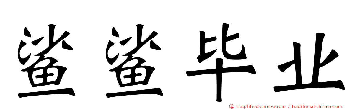 鲨鲨毕业