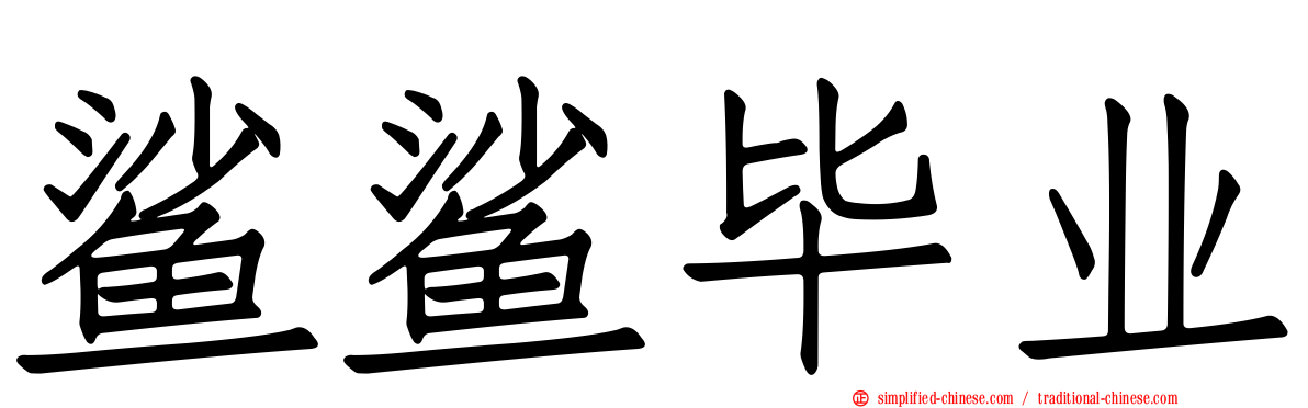 鲨鲨毕业