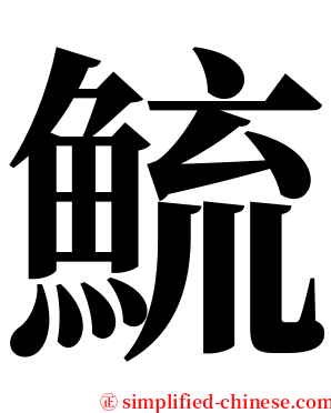 鯍 serif font