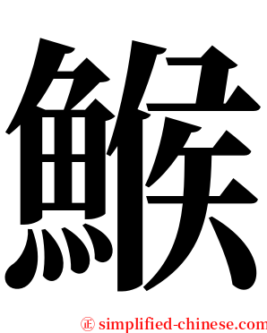 鯸 serif font