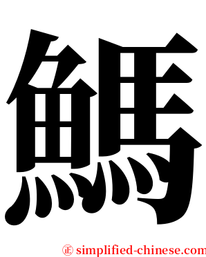 鰢 serif font