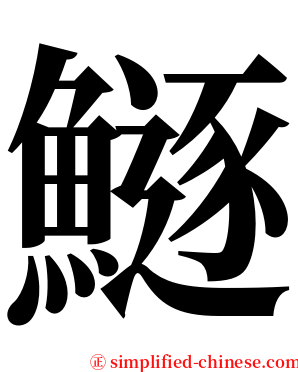 鱁 serif font