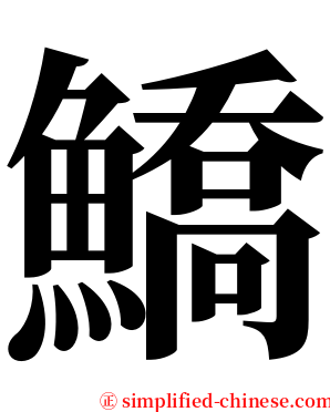 鱎 serif font