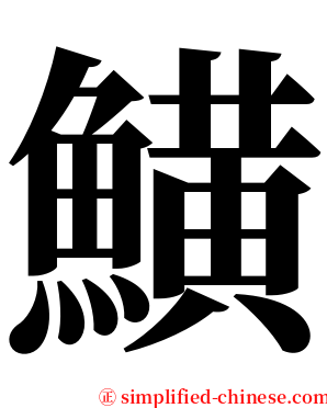 鱑 serif font