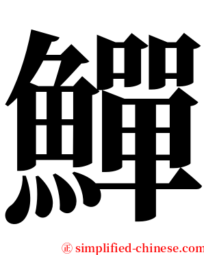 鱓 serif font