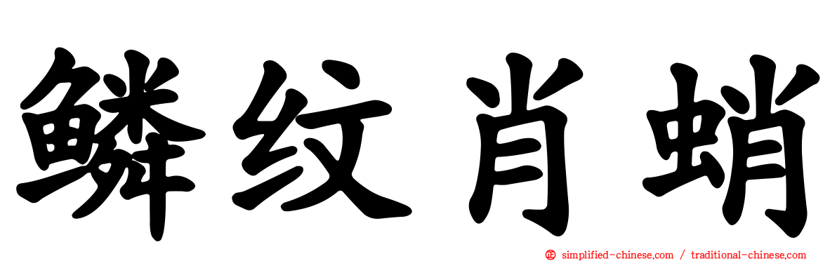 鳞纹肖蛸