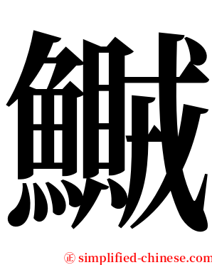 鱡 serif font