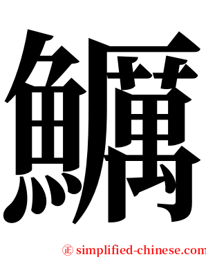 鱱 serif font