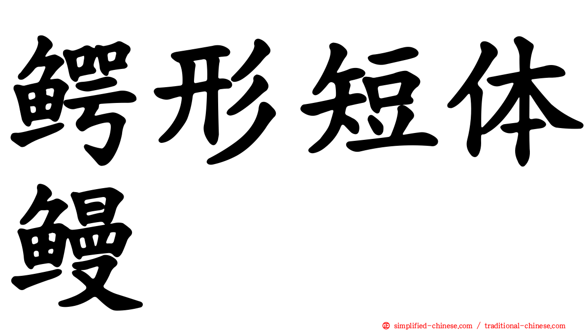 鳄形短体鳗