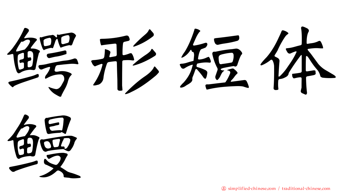 鳄形短体鳗