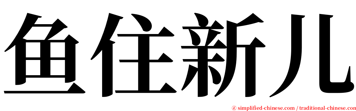 鱼住新儿 serif font