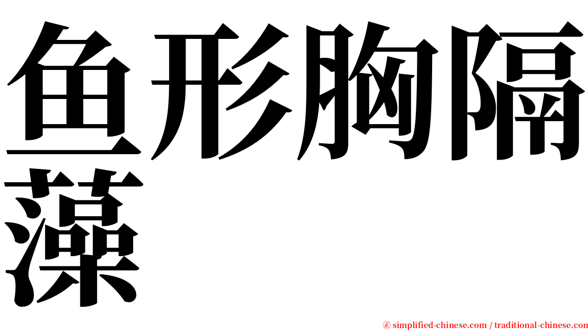 鱼形胸隔藻 serif font