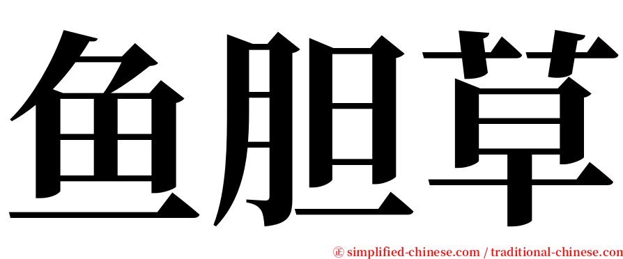 鱼胆草 serif font