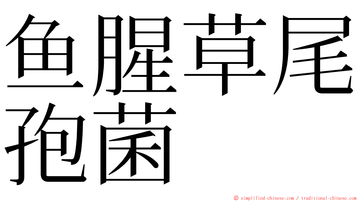 鱼腥草尾孢菌 ming font