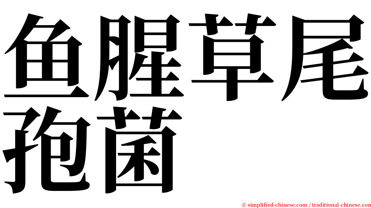 鱼腥草尾孢菌 serif font