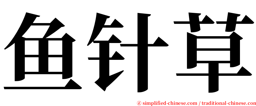 鱼针草 serif font