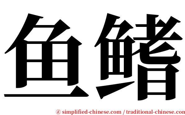 鱼鳍 serif font