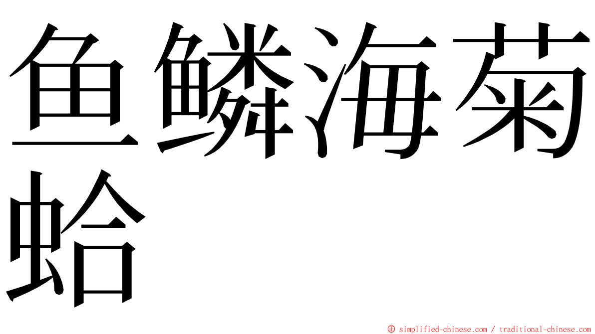 鱼鳞海菊蛤 ming font