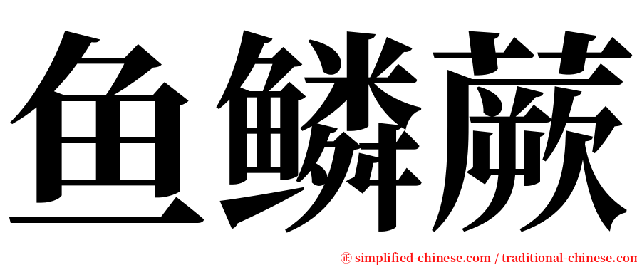 鱼鳞蕨 serif font