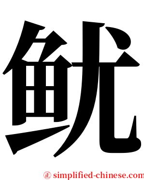 鱿 serif font