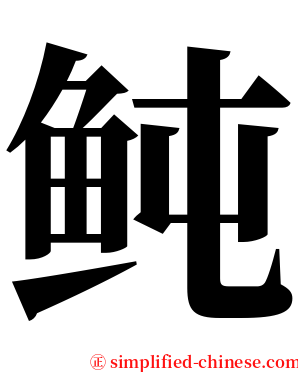 鲀 serif font