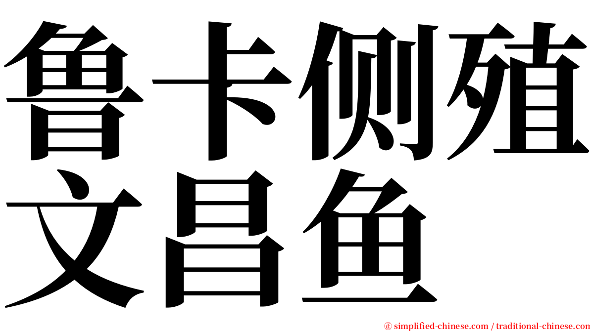 鲁卡侧殖文昌鱼 serif font