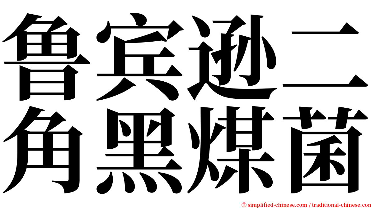 鲁宾逊二角黑煤菌 serif font