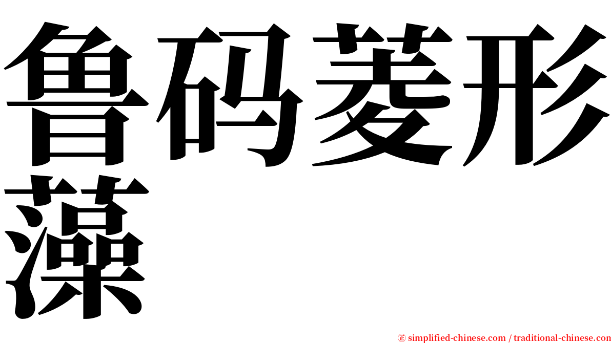 鲁码菱形藻 serif font