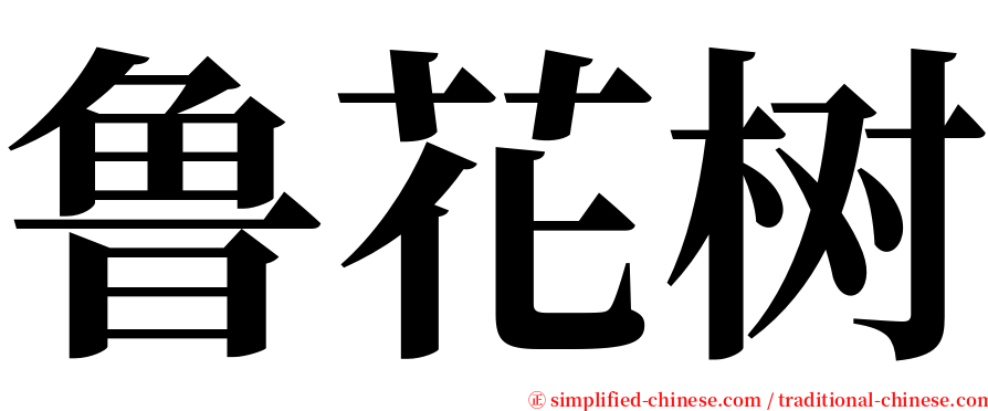 鲁花树 serif font