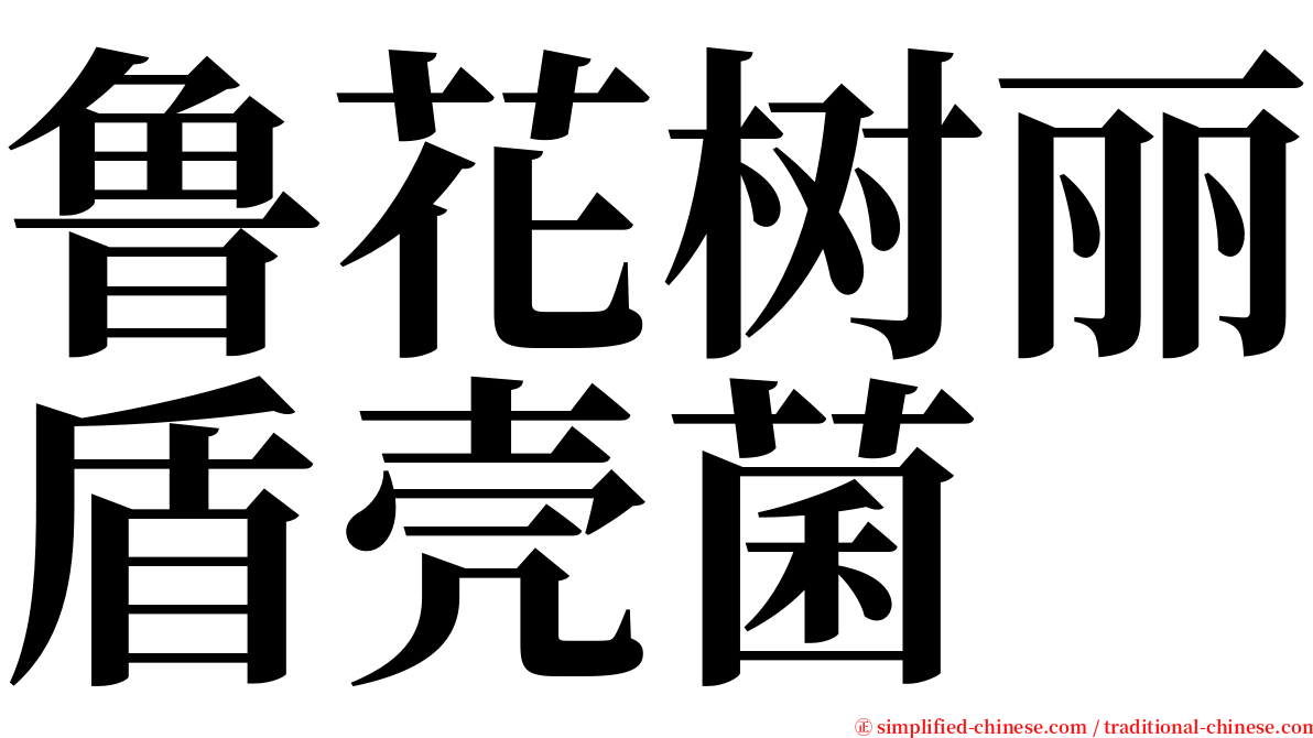 鲁花树丽盾壳菌 serif font