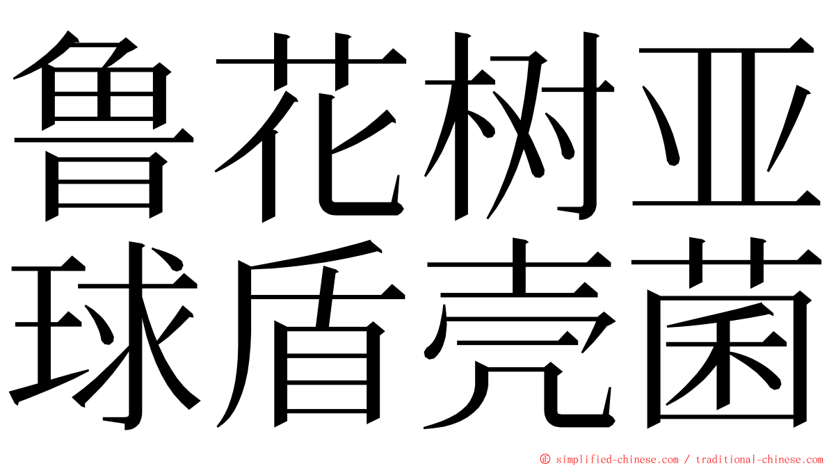 鲁花树亚球盾壳菌 ming font