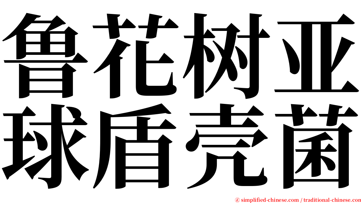 鲁花树亚球盾壳菌 serif font