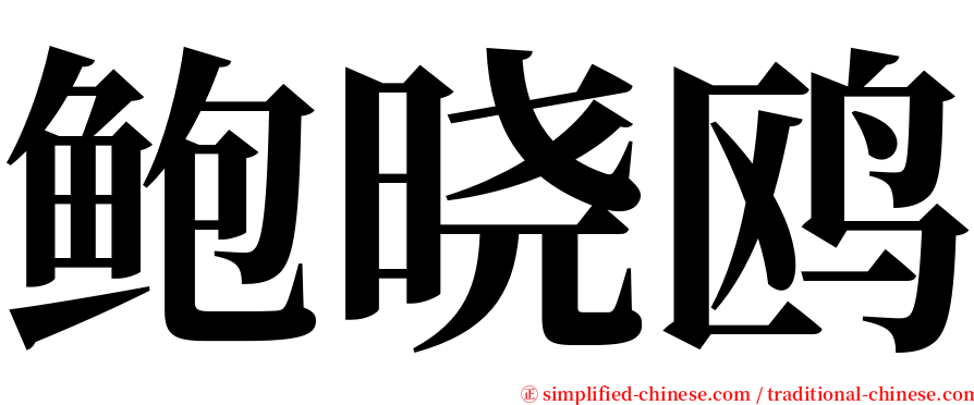 鲍晓鸥 serif font