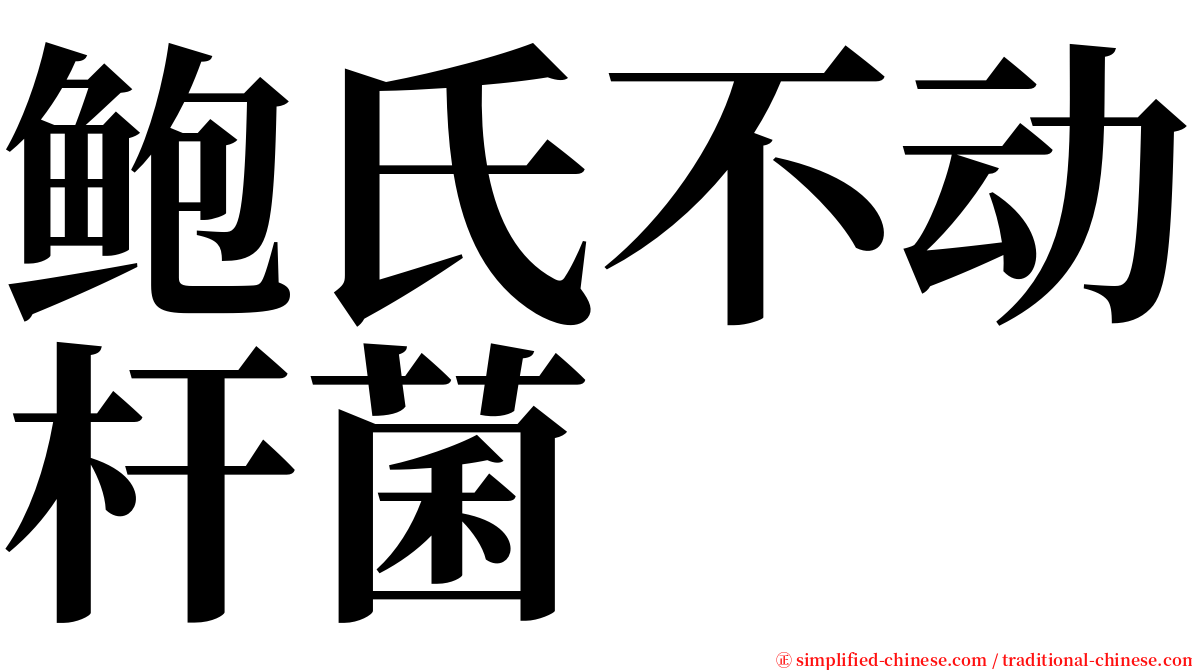 鲍氏不动杆菌 serif font