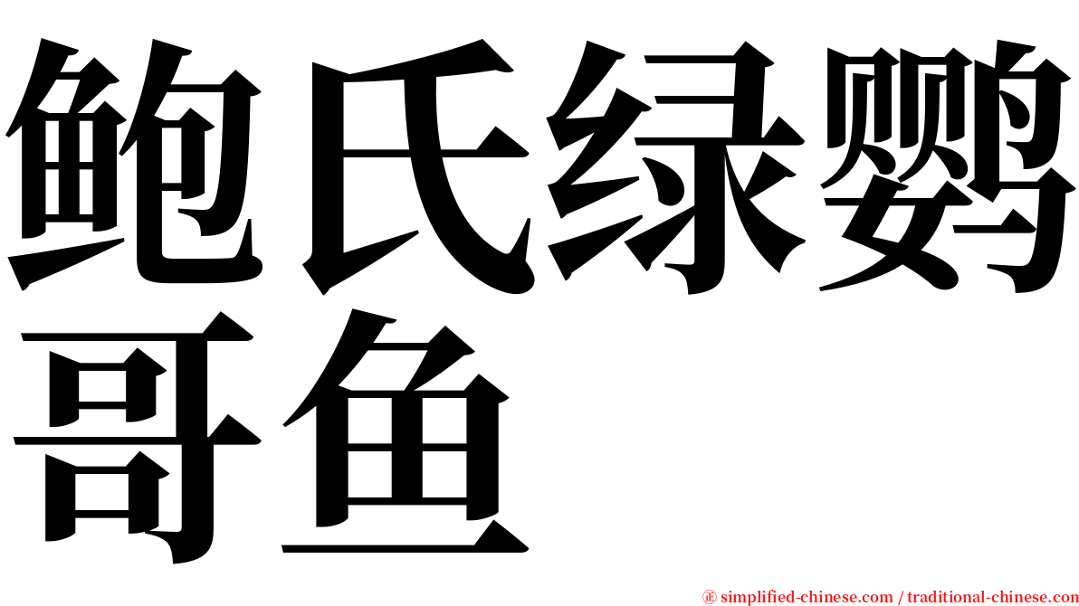 鲍氏绿鹦哥鱼 serif font