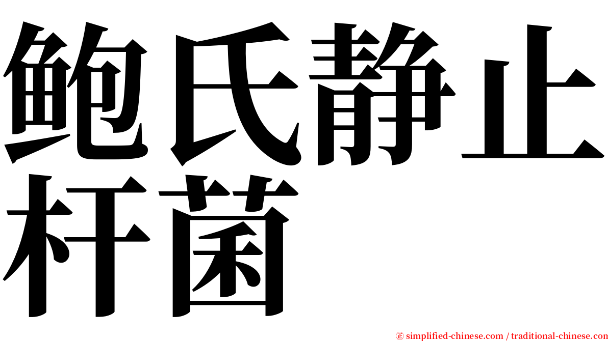 鲍氏静止杆菌 serif font