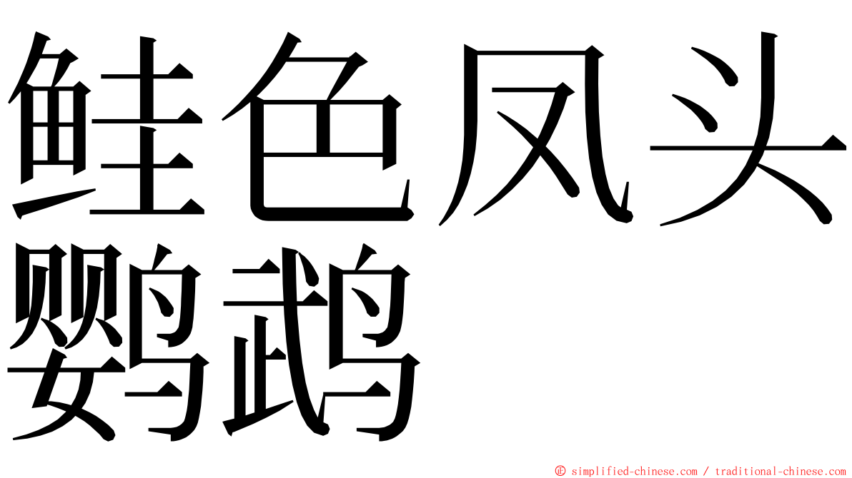 鲑色凤头鹦鹉 ming font