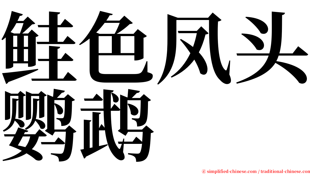 鲑色凤头鹦鹉 serif font