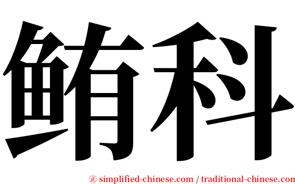 鲔科 serif font