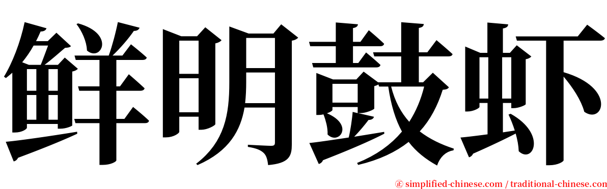 鲜明鼓虾 serif font