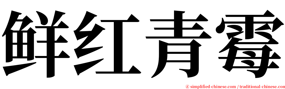 鲜红青霉 serif font