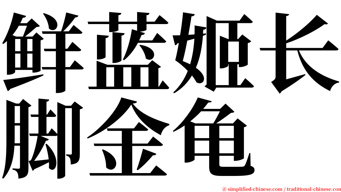 鲜蓝姬长脚金龟 serif font