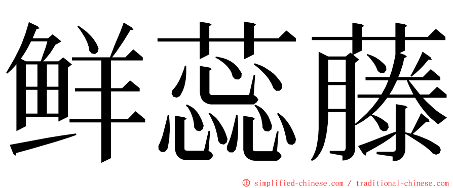 鲜蕊藤 ming font