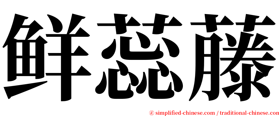 鲜蕊藤 serif font