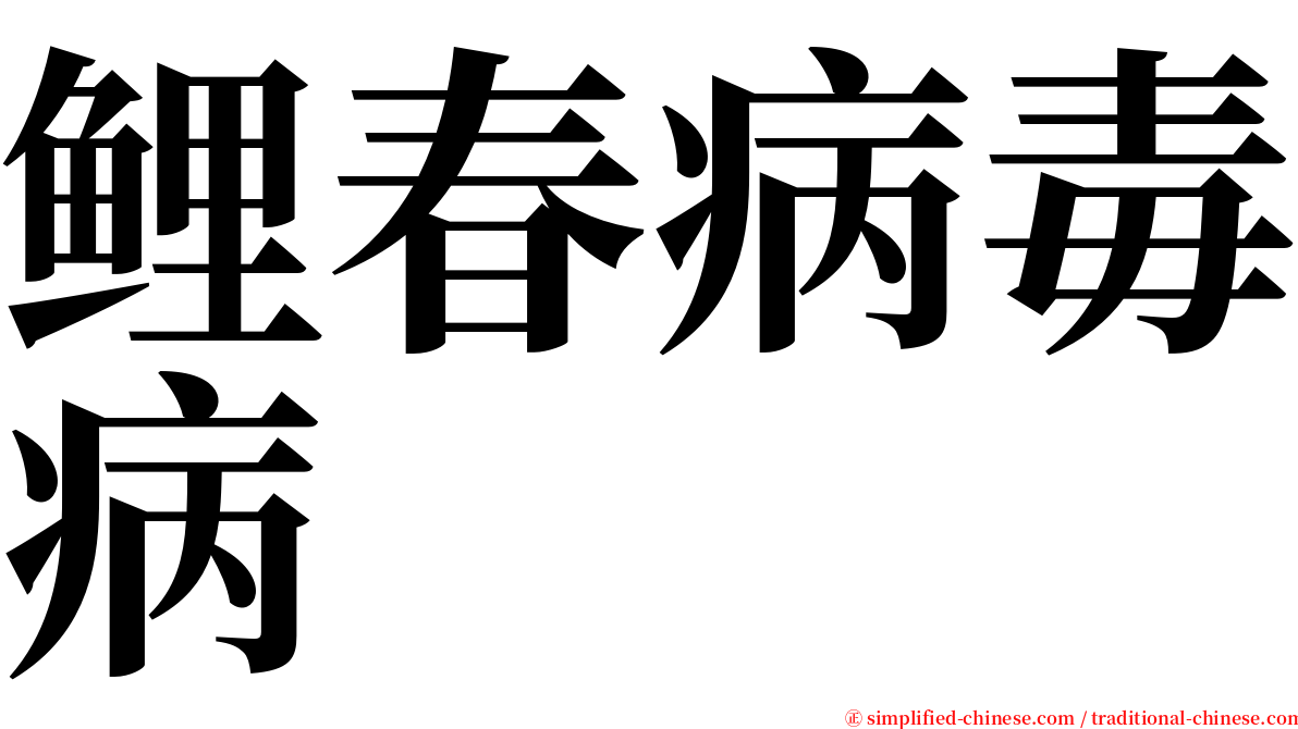 鲤春病毒病 serif font