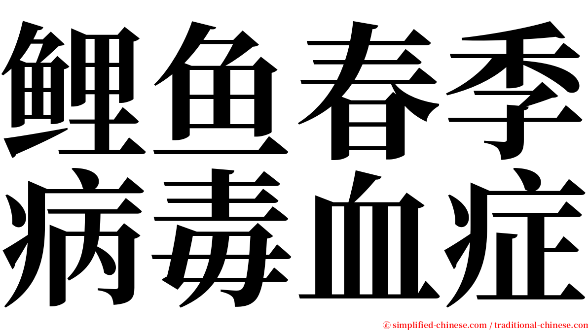 鲤鱼春季病毒血症 serif font