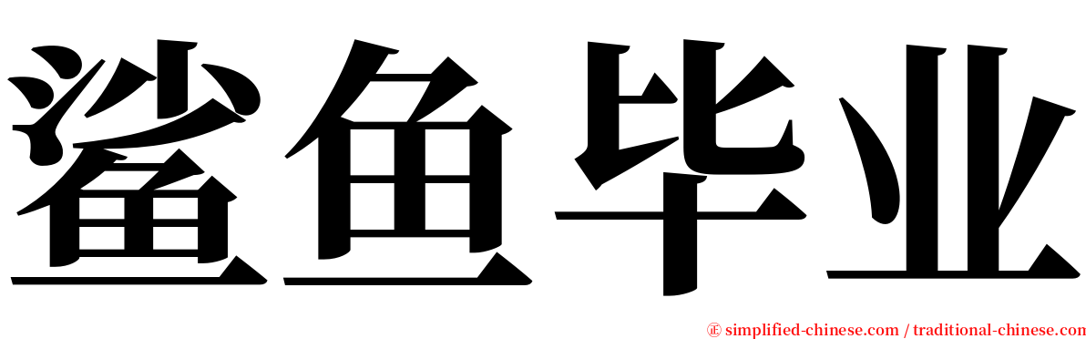 鲨鱼毕业 serif font