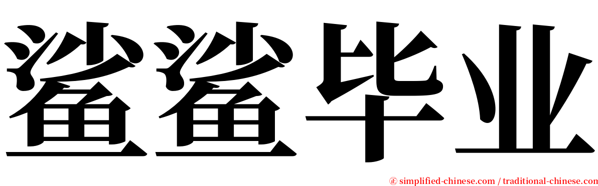 鲨鲨毕业 serif font